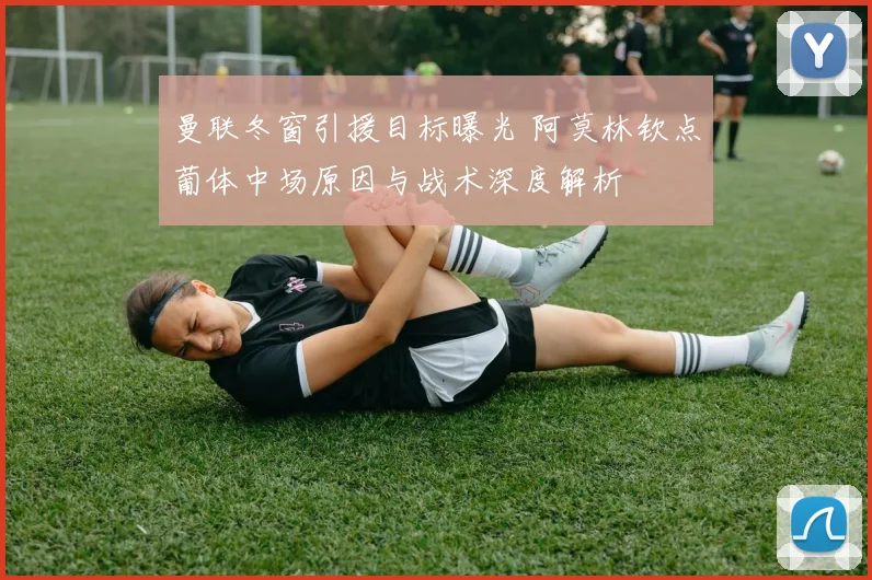 曼联冬窗引援目标曝光 阿莫林钦点葡体中场原因与战术深度解析